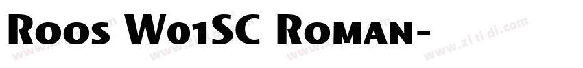 Roos W01SC Roman字体转换